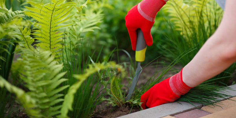 Hiding Key Under the Flowerpot - Locksmith Dubai
